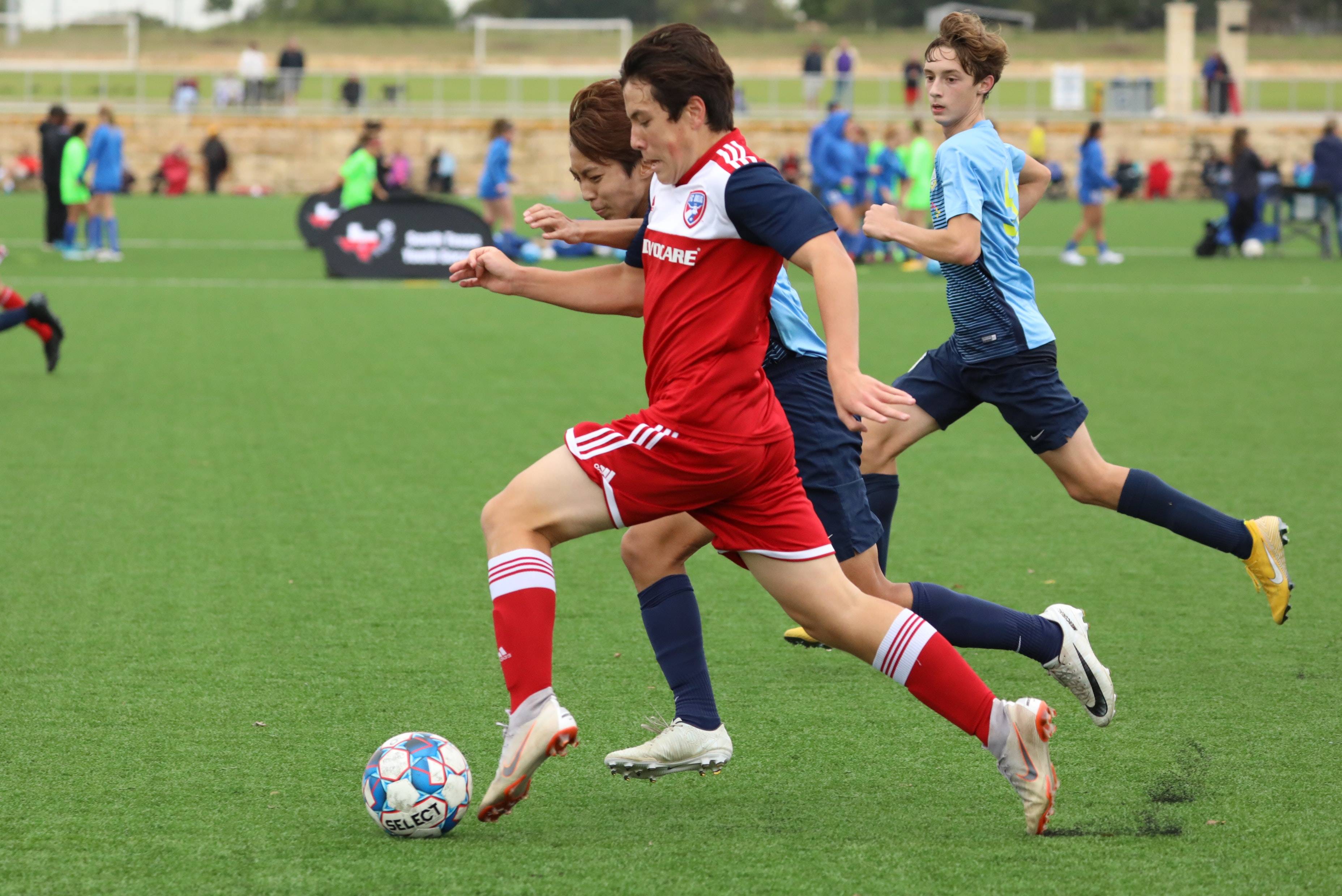 无疑是敲响 无疑是敲响